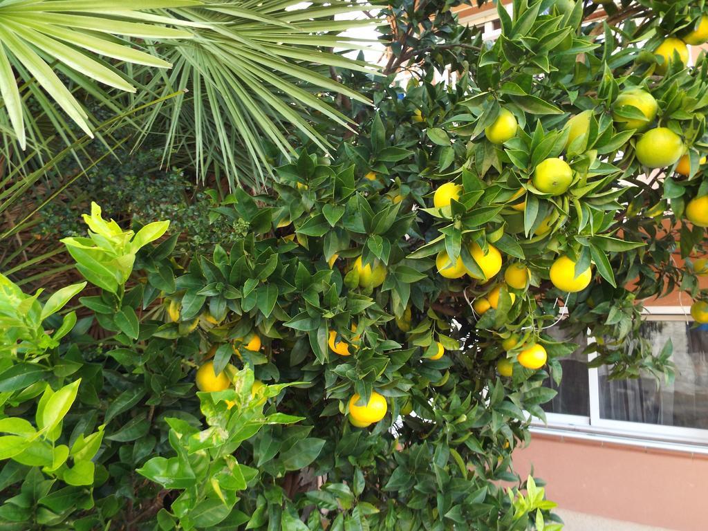 Casa Mallarenga Rooms Olivella ภายนอก รูปภาพ